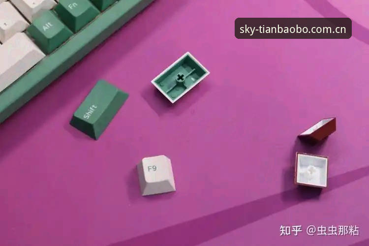 最新天宝博app安装 如何一步到位完成最新天宝博app安装,开启2024娱乐新体验?